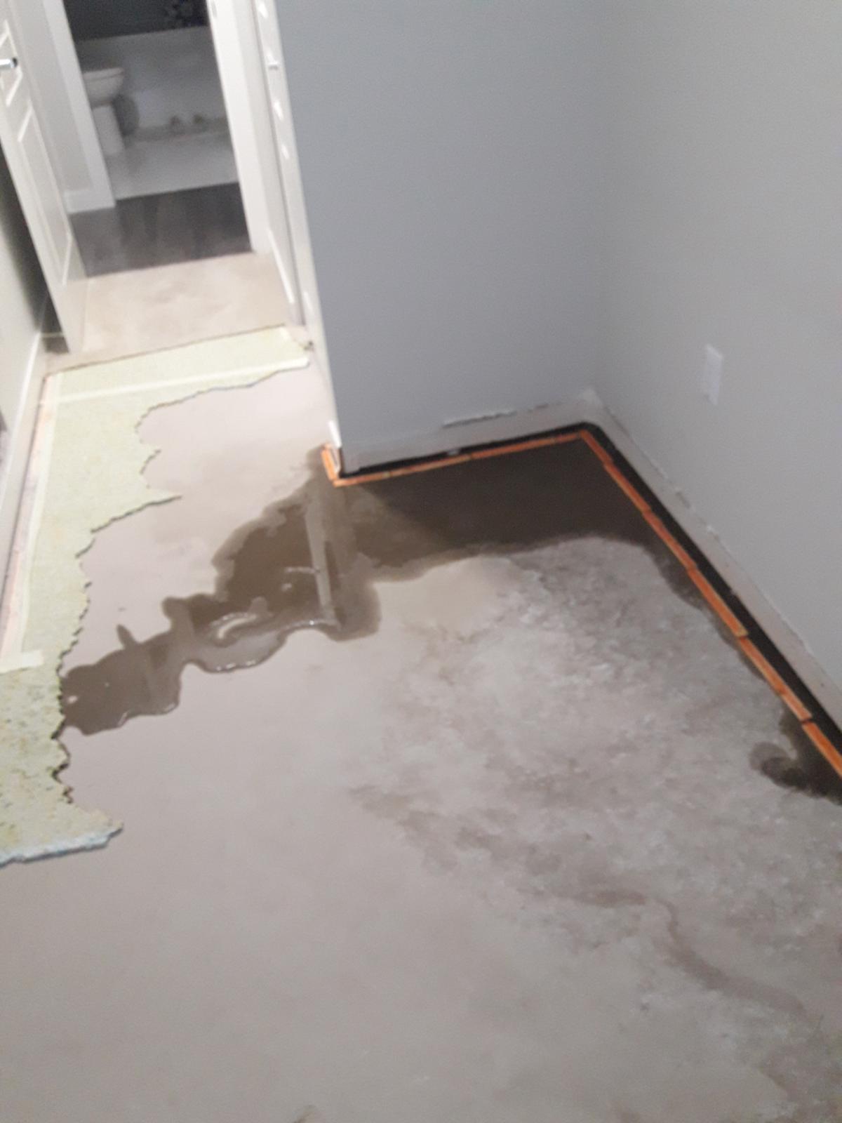 Leak Repairs